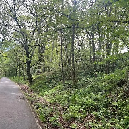 El Rosal 15a08 Σπίτι διακοπών Llanes
